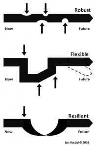 Robustness Flexibility Resilience