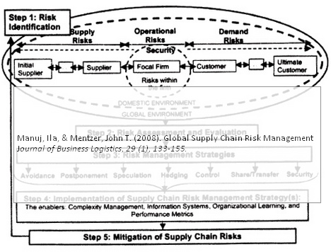 manuj mentzer global supply chain risk management
