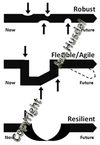 flexibility-robustness-resilience-agility