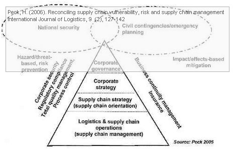 Peck, H. (2006). Reconciling supply chain vulnerability, risk and supply chain management