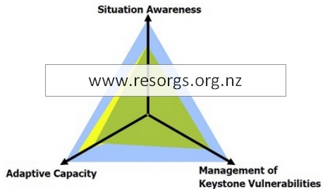 resilience-triangle
