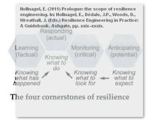 hollnagel-cornerstone-resilience